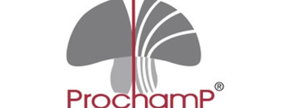 ProchamP